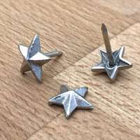 D37 kleur zilver kop 13 mm
