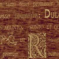 Dolendum est primum