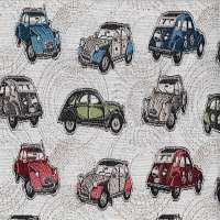 Lelijke eend 2CV