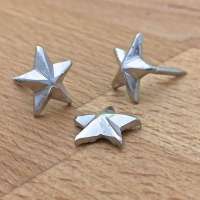 Siernagel D21 zilver kleur kop 14 mm