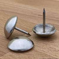 Siernagel D 62 nikkel kop 20 mm
