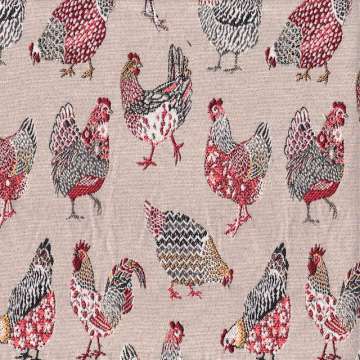 chicken sand 140 cm breed