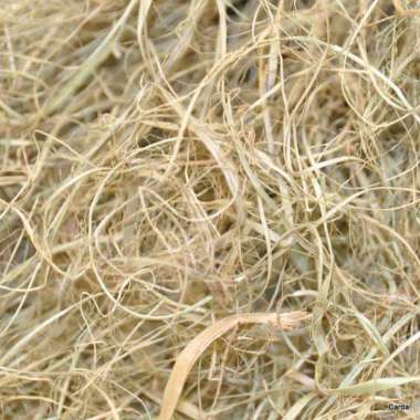 Crin vegetal baal van 5 kilo