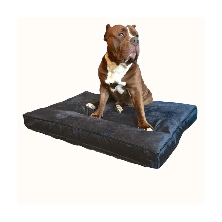 Honden kussen Bully xxl zwart