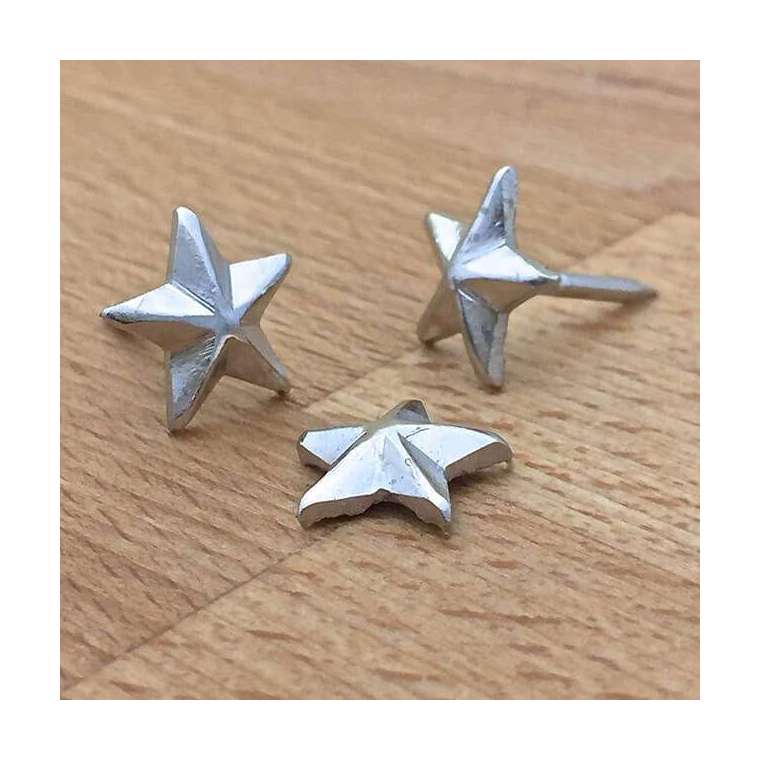 Siernagel D21 zilver kleur kop 14 mm