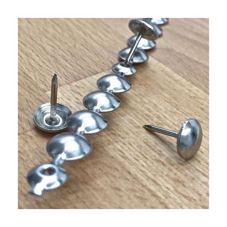 Siernagel strip zilver kleur lengte 100 cm inclusief 20 nagels