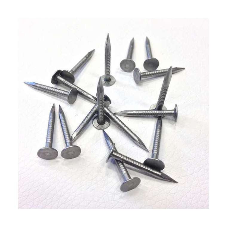 Singel koppelnagels 100 gr
